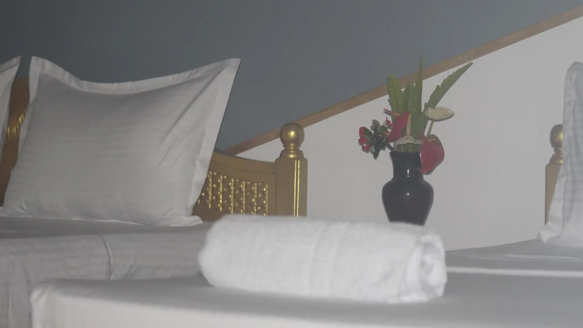 Guest house Shon Villa Negombo